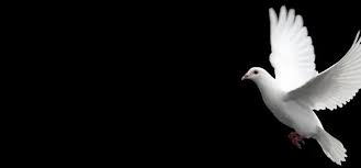 Nancy Pennington Porter