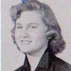 I Dream of Genealogy