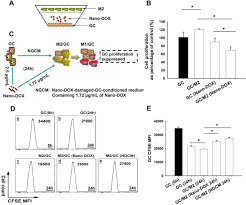 Over the time it has been ranked as high as 722 099 in the world, while most of its traffic comes from south africa, where it reached as high as 6 584 position. Harnessing The Cross Talk Between Tumor Cells And Tumor Associated Macrophages With A Nano Drug For Modulation Of Glioblastoma Immune Microenvironment Biorxiv