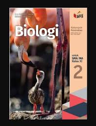 Buku biologi kelas xi faidah rachmawati, nurul urifah, ari wijayati. 40 Kunci Jawaban Biologi Erlangga Kelas Xi Download