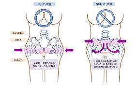 骨盤ベルトを付ける位置 骨盤 健康になる ベルト
