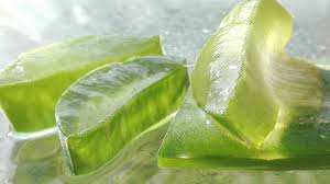 New hair treatments shop now. How To Use Aloe Vera Gel For Hair Growth Information News