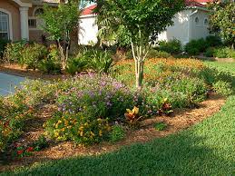 Applying predator mites on milkweed at riverview flower farm. Curb Appeal Gardening Solutions University Of Florida Institute Of Food And Agricultural Sciences