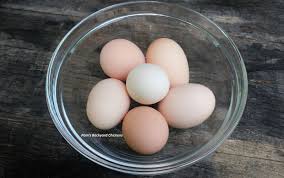 If you have been led to believe that backyard egg production is a humane alternative, or that consuming eggs from rescued hens can be ethical, please ask yourself: Pam S Backyard Chickens Why Are My Chickens Laying Soft Eggs