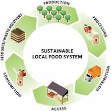 Sustainability Emily Brooks Food System Sustainable Food Systems Sustainable Food