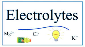 Image result for Electrolyte