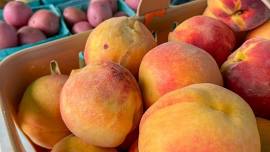 Yorktown Market Days - National Farmers Market Week