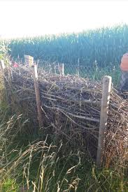 Benjeshecke Als Sichtschutz Gartendesign Ideen Privatgarten Gartengestaltung