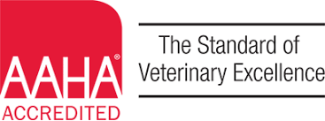 Vets who see cats all day will have more experience in dealing with chronic. Cat Clinic Of Seattle Emergency Specialty Cat Animal Hospital In Seattle Wa