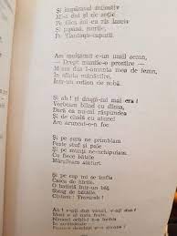 Probabil că a fost sabotat de către crocobeți. Copii Eram Noi Amandoi 3 Personalized Items Poetry Person