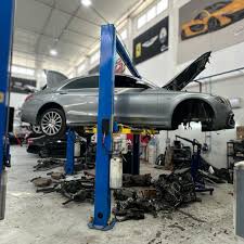 Image result for Muhurraq 2012 Cygnet