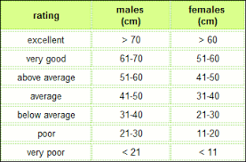 fitness testing for sport and exercise advantages