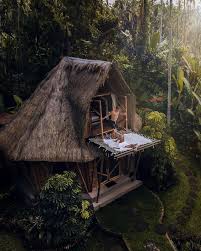 Bamboo have every where in and bamboo tree it very useful. 16 Unique Bamboo Hotels In Bali That You Must Visit At Least Once In Your Life Thebaliguideline