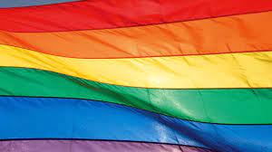 Regenboog vlag 30x45cm deze regenboog vlag formaat 30x45cm wordt gebruikt als vredesvlag en voor pin / speld regenboogvlag. Regenboogvlag Zhzveilig Nl