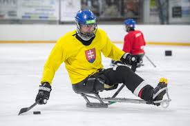 Za norský národní para hokejový tým nastupuje pravidelně od roku 2018. Slovak Para Ice Hockey Home Facebook