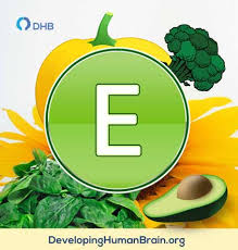 7 Best Natural Vitamins For Memory And Focus Vitamins For Memory Memories Natural Vitamins