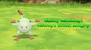 Let's go on the nintendo switch and are curious about how shiny hunting works compared to previous pokémon games, this guide will cover the main differences and to begin with, pokémon: Shiny Mankey Pokemon Let S Go Shiny Reaction 2 Youtube