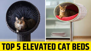 It is also worth noting there is a shark specific shaped. Cat Bed Best Elevated Cat Beds 2021 Buying Guide Youtube
