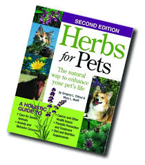 Some safe flowering houseplants for homes with cats and dogs include these types of plant can include herbs, fruits, and vegetables. Help Heal Your Dog With Common Herbs Whole Dog Journal