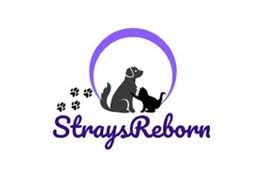 Overpopulation is the number one reason for stray or abandoned animals—only 2% of stray. Straysreborn Spay Neuter Program For Strays Animal Pet Fundraising With Gogetfunding
