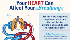Lung cancer typically doesn't cause signs and symptoms in its earliest stages. What S The Connection Your Heart Can Affect Your Breathing