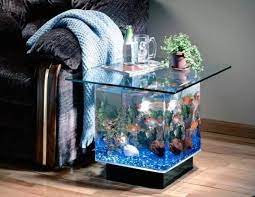 Aquarium mini ini sangat cocok untuk ikan kecil,seperti ikan cupang,molly,neon dll. Cara Membuat Aquarium