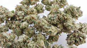 How To Cure Weed | Weedmaps