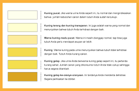 We did not find results for: Urine Tidak Berwarna Tidak Berbau Dan Frekuensi Buang Air Kecil Meningkat Tanya Alodokter