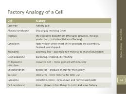 Cell = restaurant cells are made up of parts called organelles that help transcript of a cell is like a factory. Cell Factory Analogy Worksheet Nidecmege