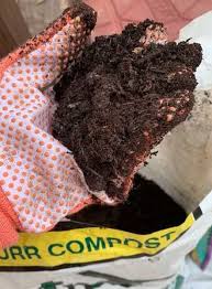 Check spelling or type a new query. Advanced Fiddle Care How To Create Custom Fiddle Leaf Fig Soil