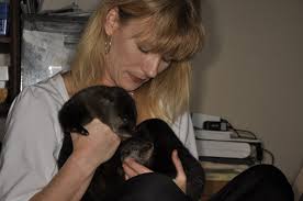 Wildlife Rehabilitators of North Carolina