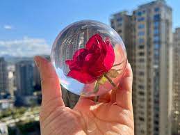 Rose In Resin Sphere Preserved Flower