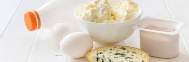 Laktoseintoleranz Ursachen Symptome Behandlung