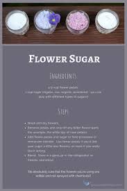 Recipe Card For Flower Sugar Edible Flowers Recipe Cards Parts Of A Flower