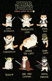 Star Paws Hahaha May The 4th Be With You Star Wars Humor Star Wars Memes Star Wars