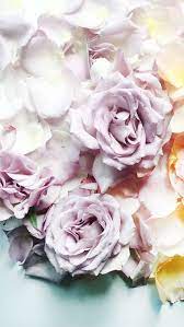 We will be offering flower screensavers via cd and instant download. 12 Floral Screensavers For Every Month Of The Year Ideas Floral Months In A Year Screen Savers