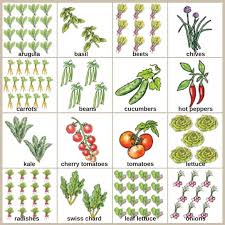 Every square inch matters in a small vegetable garden. Small Vegetable Garden Plans For Even The Smallest Backyard