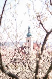 Hudební festival pražské jaro se sice bude konat už po sedmdesáté šesté, nicméně s jistotou můžeme říct, že tento ročník bude úplně jiný. Spring In Prague Petrin Petrin Garden Czech Republic Prazske Stock Photo Picture And Royalty Free Image Image 142451725