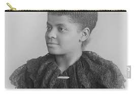 Ida B Wells Zip Pouch by David Hinds