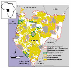 Image result for Uvariastrum germainii