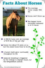 Equine feed calculator fortunately, horses do quite well on a forage based diet of hay along with minerals and good clean water. Check Out These Fun Facts About Horses How Much Hay Does A Horse Eat In A Day How Does My Horse Know When To Start Shedding Yo Horse Facts Horses Horse