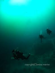 「下地島 通り池」の画像検索結果