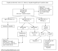 Check spelling or type a new query. Hepatitis Akut Informasi Kedokteran Dan Kesehatan