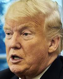 Bill Lahey (@bill_lahey)