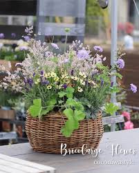 tamaki kawada on instagram バスケットにナチュラルを詰め込んで お花が終わってしまったバスケットを解体してリニューアル 春のお花から初夏のお花へ 爽やかに香るハーブゼラニウムやラベンダー ふわっふわのトリフ ゼラニウム ナチュラル