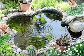 Image result for garden pond ideas