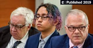 Teenager Cited Anti-Gay Bullying for Stabbing Death. He Was Found Guilty.