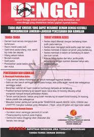 Jika kena pada gayanya boleh membawa maut. 7 Tanda Demam Denggi Yang Anda Perlu Tahu