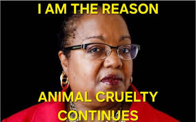 Destination Dog Rescue