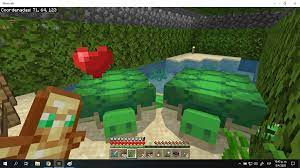 After a few seconds, it will dig in the. Mcpe 59043 Turtles Won T Lay Eggs Or Swim Back To Spawn Beach Jira